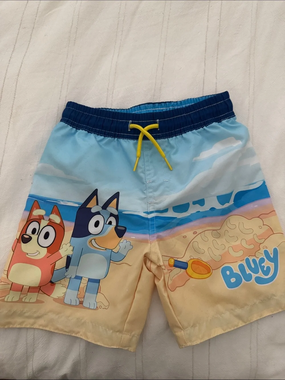 Bluey & Bingo Kids' Short-Sleeve Rash Guard Swim Set - Blue/Yellow
